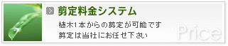 �y���藿���ɂ��āz�@�����E�_�ˎs�E���ɂŊO�\�H���E�G�N�X�e���A�E�f�U�C���E�K�[�f�j���O�E�����E���E�݌v�́u�Ԗؒ뉀�v�ցB